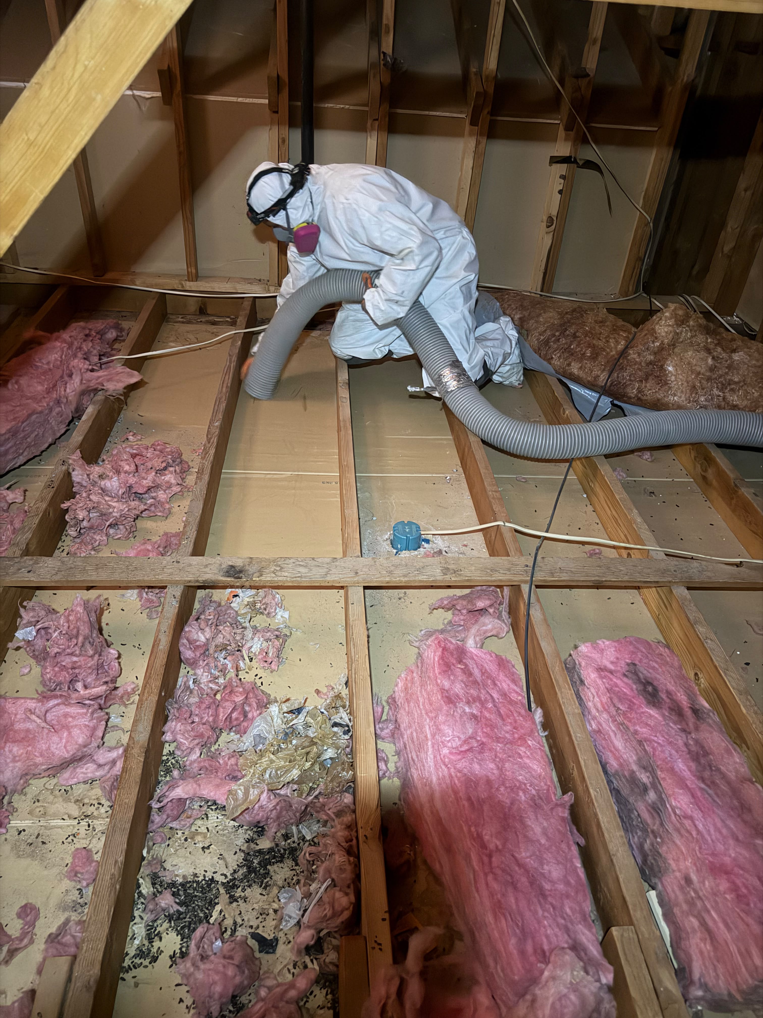 Attic Cleaning & Decontamination