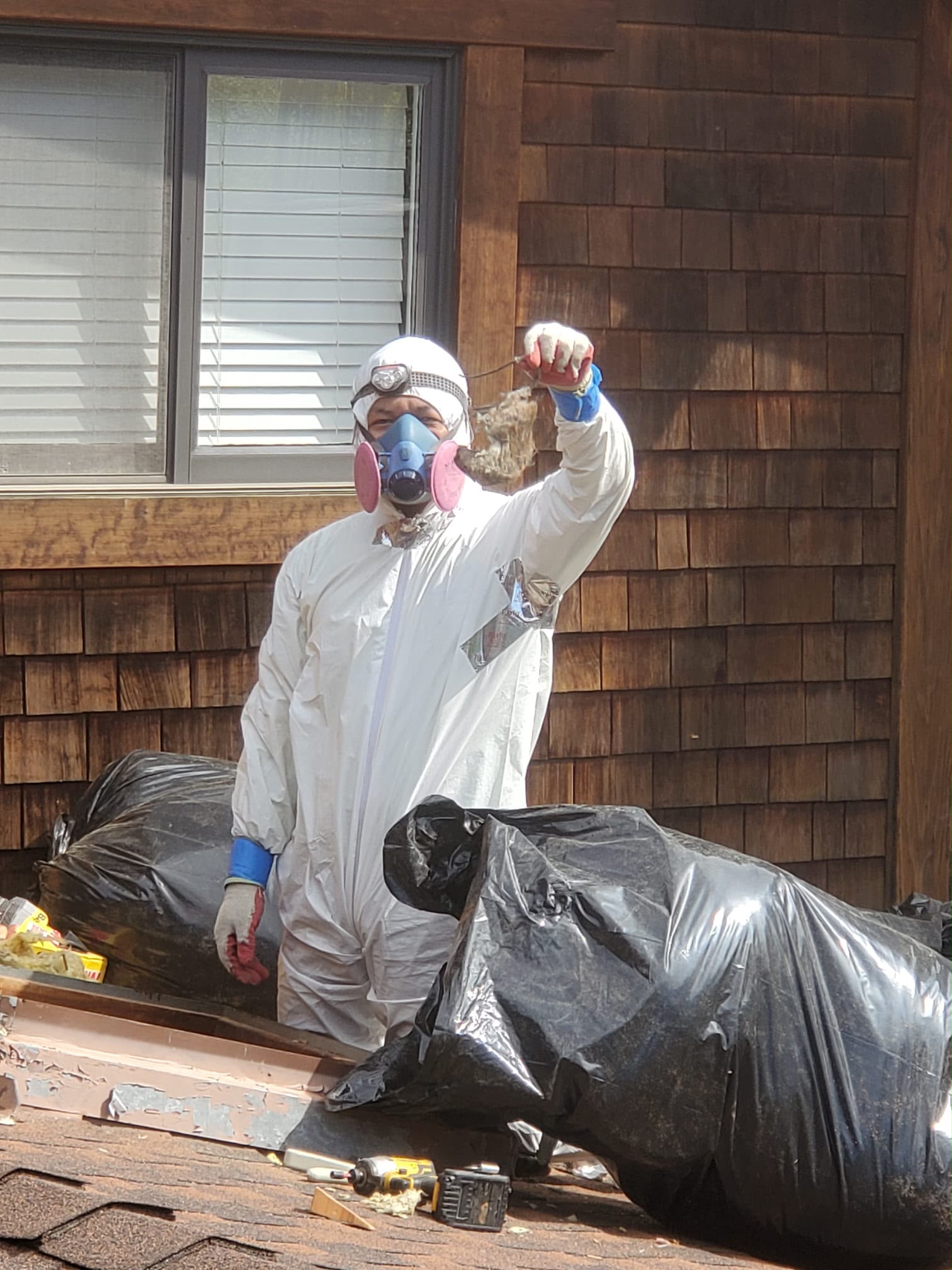 Attic Rodent Proofing